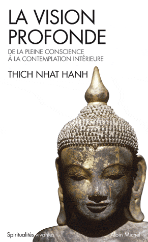 La vision profonde. De la Pleine Conscience à la contemplation intérieure