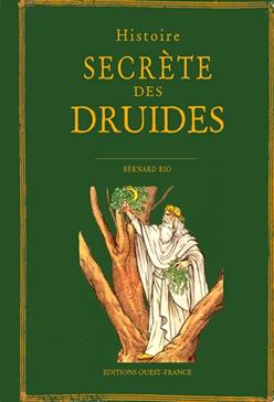 [9782737379390] Histoire secrète des druides