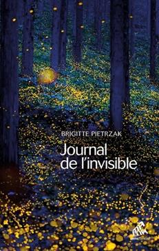 [9782845943971] Journal de l'invisible