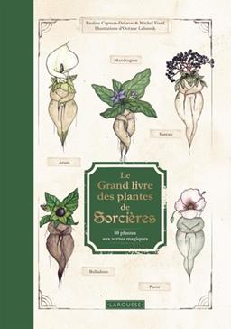 [9782036007451] Le Grand Livre des plantes de sorcières