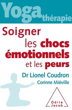 [9782738139207] Soigner les chocs émotionnels et les peurs