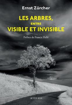 [9782330065942] Les arbres, entre visible et invisible