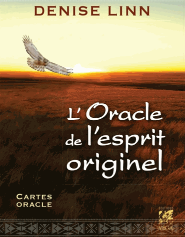 [9782858298990] L'oracle de l'esprit originel