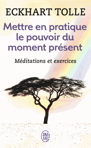 [9782290020210] Mettre en pratique le pouvoir du moment présent