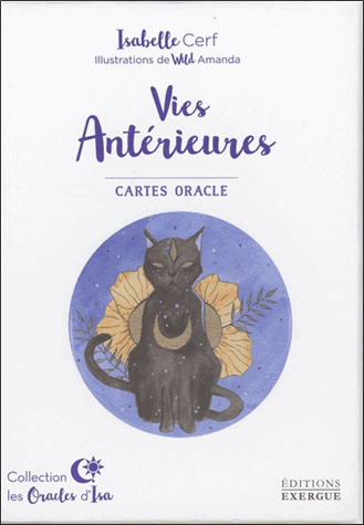 [9782361883027] Vies antérieures